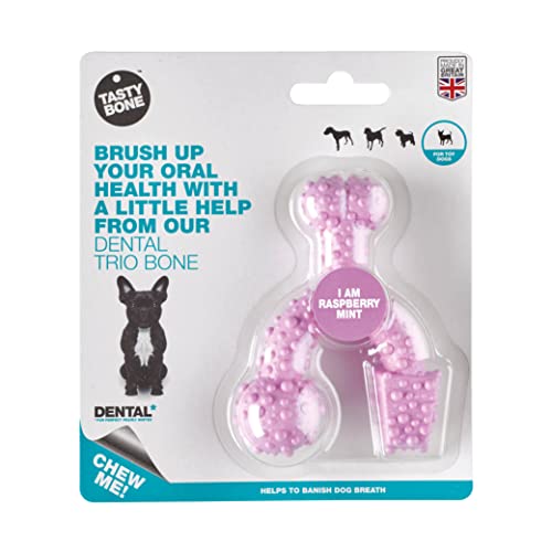 Tasty Bone TrioBone Hundekauspielzeug aus Nylon für Spielzeughunde (Himbeerminzgeschmack), hilft dabei, Hundeatmung zu verbannen, fördert gesunde Zähne und Zahnfleisch, dreifach Spaß, hergestellt in von Tasty Bone