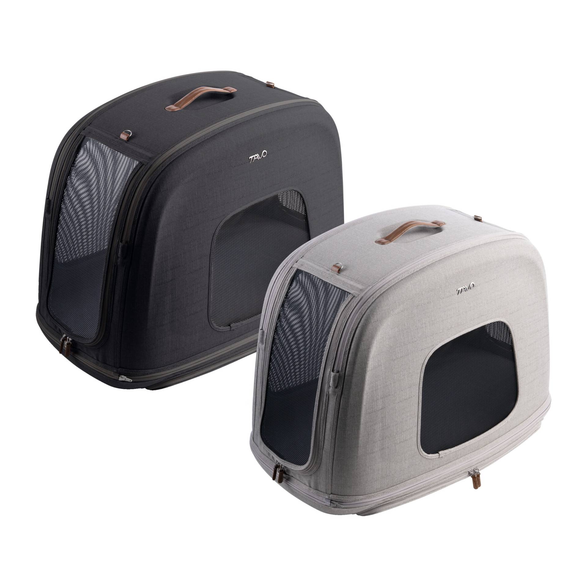 Tavo Pets Crispin - M - Merle von Tavo Pets