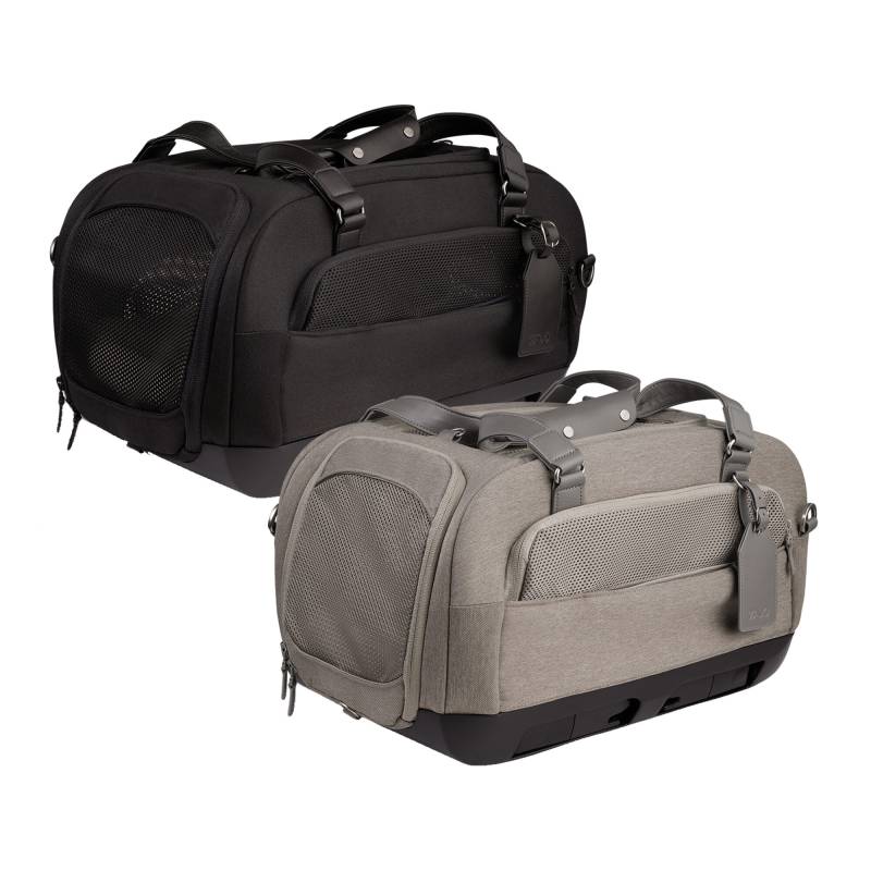 Tavo Pets Dupree - Onyx von Tavo Pets