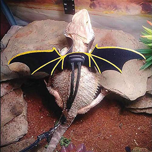 Echsenharn Eidechse Le Seil Reptile Le Seil Reptile Harn Eidechse Harn, Schwarzes Künstliches Leder -Haustier Reptile Echtigkeit G Outdoor Tragende Ha Echsenharn Eidechse Le Seil Reptile Le Seil Reptile Harn Eidechse Harn, Schwarzes Künstliches Leder -Haustier Reptile Echtigkeit G Outdoor Tragende Ha von Tbest