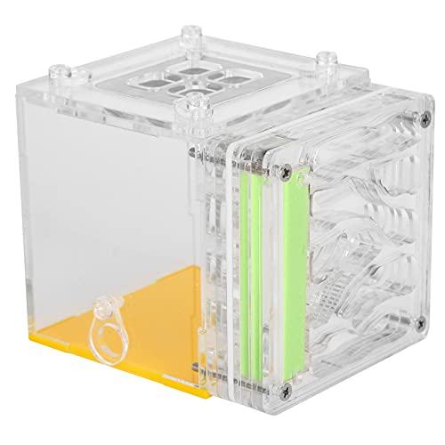 G -Box -Ameise -Feeding -Box Ylic Ding Box Feuchtigkeitsspendende Ding -Box Transparente Ding Box House Toy, Ylic Watng Ding Box Feuchtigkeitsfeuchtigkeitsspeisende Fütterungskoffer House Toy G -Box -Ameise -Feeding -Box Ylic Ding Box Feuchtigkeitsspendende Ding -Box Transparente Ding Box House Toy, Ylic Watng Ding Box Feuchtigkeitsfeuchtigkeitsspeisende Fütterungskoffer House Toy von Tbest