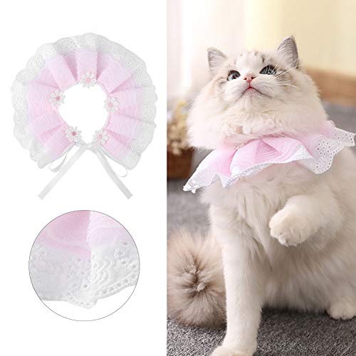 Haustier Spitze Ktie Katze Spitze Ktie Haustier Spitzenkragen Spitze Ktie Haustier Aries, Haustierkatze Spitzenkragen Ktie Hund Er Bib Aries (L) von Tbest