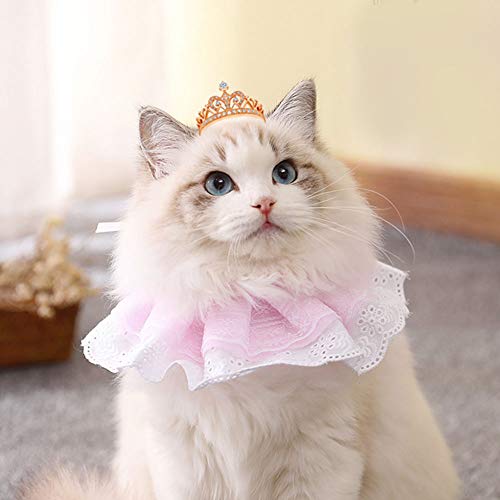 Haustier Spitze Ktie Katze Spitze Ktie Haustier Spitzenkragen Spitze Ktie Haustier Aries, Haustierkatze Spitzenkragen Ktie Hund Er Bib Aries (S-Größe) von Tbest
