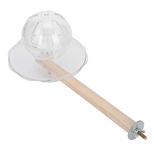 Haustiervögel Spielzeug Futtersuche Dule Bite Resnt Stehende Stange für Ing -Ligence -Spielzeug Haustierlagen Vogel Fütterung Lagen, Vogelfütterung Wasserlagen Haustiervögel Spielzeug Futtersuche Dule Bite Resnt Stehende Stange für Ing -Ligence -Spielzeug Haustierlagen Vogel Fütterung Lagen, Vogelfütterung Wasserlagen von Tbest