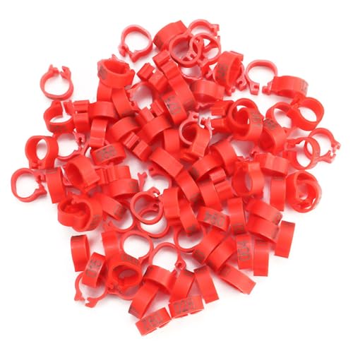 Tbest bene,Ben Füße e,Red or s,Hühnerbänder,Vogelbeine,8 Mm,Für Ben,Geflügelbeine,Papageien,nststoffierung,Blaue Und Rfarbene Wachteln,Nummerierte Küke Tbest bene,Ben Füße e,Red or s,Hühnerbänder,Vogelbeine,8 Mm,Für Ben,Geflügelbeine,Papageien,nststoffierung,Blaue Und Rfarbene Wachteln,Nummerierte Küke von Tbest