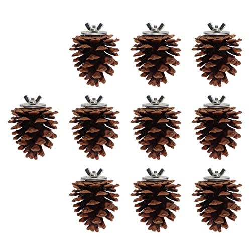 Kiefernkegel Vogelspielzeug für Let, Vogelspielzeug 10pcs Vogel Biss Kiefern CO Natürlicher Kieferkegel Kaut Vogelspielzeug für Sittich Cocl Conure Fi Budgie AW Kiefernkegel Vogelspielzeug für Let, Vogelspielzeug 10pcs Vogel Biss Kiefern CO Natürlicher Kieferkegel Kaut Vogelspielzeug für Sittich Cocl Conure Fi Budgie AW von Tbest