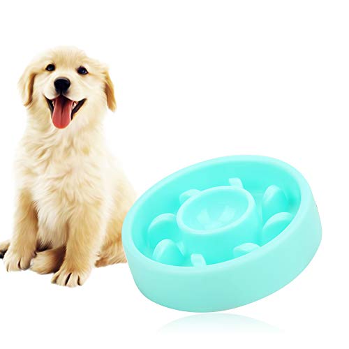 Langsame Futterhäuschen, Langsame Feeder Plastik Exquisit Nicht Rutschboden Pet Anti-Erstickung Langsamer Lebensmittel-Fütterungsschüssel Lieferungen für Hunde Katzen (Green) von Tbest