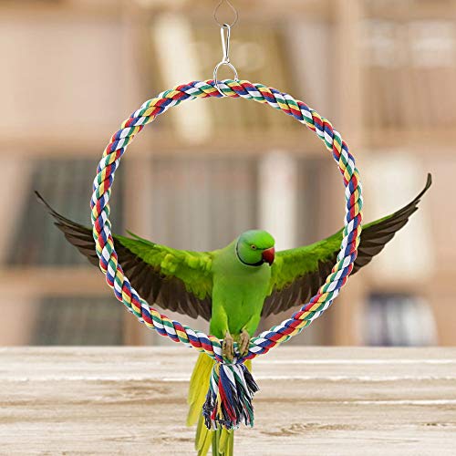 Swing Bird Swing Toy Bird Seil Barsch Vogel Kaut Spielzeug, Bird Circle Seil Barsch Ständer Kauspielzeug Birdcage Dekoration ARY (Kleiner Durchmesser 18 cm) von Tbest