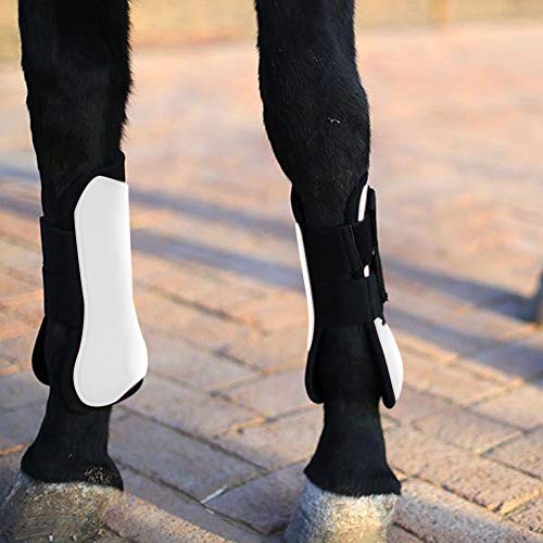 Tbest 2pcs e Horse Jum Bein Boot Ion Port W Guard Profionale Equn -Ausrüstung Haustier Plies Pflegeprodukte (Front -Legguards) von Tbest