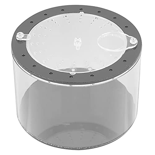 Tbest Lae Flaschenklettern Haustier Fütterungsbox Reptilien Fütterungsbox Ylic Reptile Lizardenkiste, ökologische Lae Flasche Runde Klettern Haustier für Spinnen Eidechsen Schildkröte Tbest Lae Flaschenklettern Haustier Fütterungsbox Reptilien Fütterungsbox Ylic Reptile Lizardenkiste, ökologische Lae Flasche Runde Klettern Haustier für Spinnen Eidechsen Schildkröte von Tbest
