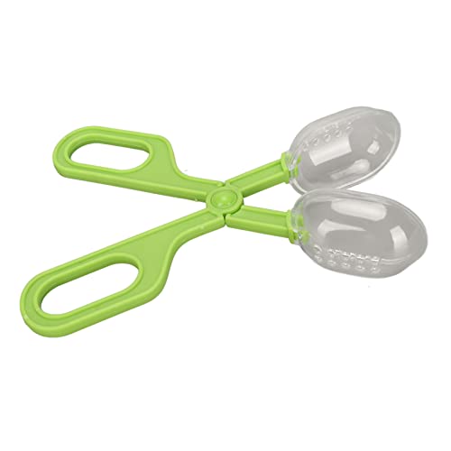 Tbest PET Produkte Reptile Fütterungsklemme Reptilien Fütterungs- und Reinigungswerkzeug Reptile Poop Scoop mit R Tortoise Eidechse Spider G Reptile Ding (Green) von Tbest