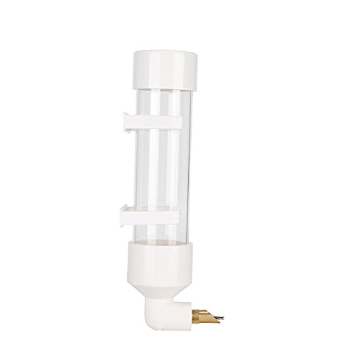 Tbest Pet Products Bird Automatic Nippeltränke Pinfier Waterer mit 2 Les Birdrinking Tools Vogelfütterungslagen, Vogelwasserlagen (Groß) von Tbest