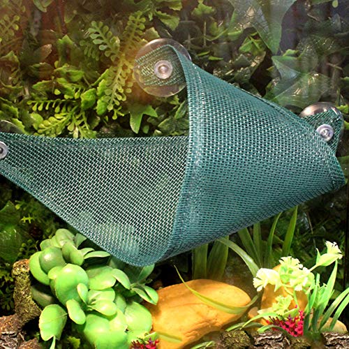 Tbest Reptilienschinken Reptilien Schinken Liegestil Reptilien Schinken Echsenschinken Winkelnetz, Winkelnetz Reptilienschinken Schinkenschinken mit Drachen Liege G M 38 * 18 cm (S) von Tbest