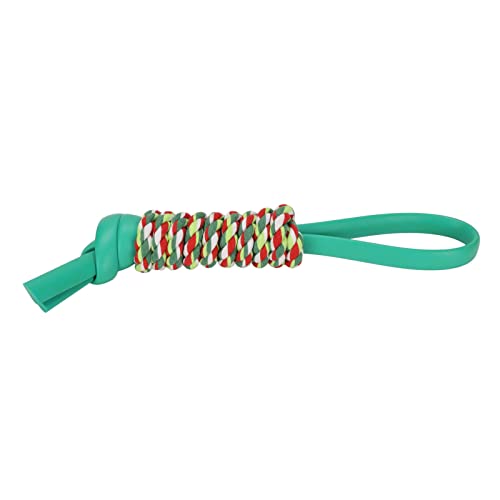 Tbest Seile, Hundekäse -Seilspielzeug Mehrzweck -TPR -Bissfestzähne Mahlen Interaktiver CN -Seil -Hundespielzeuge (Cyan) von Tbest