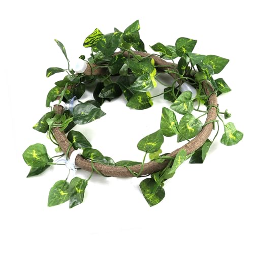 Tbest Set von Premium Reptile Climbing Branch, EIN ökologisches Flexibles Video für das Reptil, für den Fisch und die Schachtel von (Essig + grüne Efeublätter) von Tbest
