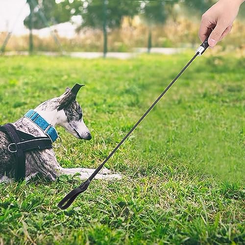 Tbest Trainings- und Verhaltenshilfen, Trainings- und Verhaltenshilfen Schwarze Faser Verstärkte Kunststoff -Haustier -Trainingsphips -Werkzeuge für Hundeverhaltensmanagement Reiten Tbest Trainings- und Verhaltenshilfen, Trainings- und Verhaltenshilfen Schwarze Faser Verstärkte Kunststoff -Haustier -Trainingsphips -Werkzeuge für Hundeverhaltensmanagement Reiten von Tbest