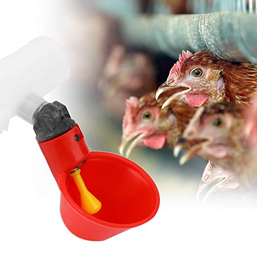 Tbest Versuchen Sie den Wasserspender Vogel -Trinkbecher -Trinkspender Wassertrinker Automatischer Wasserspender, 10 Prozent Plastik Automatisch Geflügelvogelwasser -Trinkspender Wassertrinker Tbest Versuchen Sie den Wasserspender Vogel -Trinkbecher -Trinkspender Wassertrinker Automatischer Wasserspender, 10 Prozent Plastik Automatisch Geflügelvogelwasser -Trinkspender Wassertrinker von Tbest