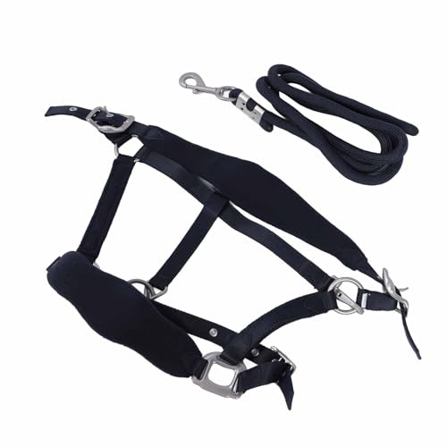 Tbest Weiche Gepolsterte Pferdehalter -Set Einstellbare Multifunktionale Pferde -Training Halfter für Unterschiedliche Größe, Pferdehalter für Trainingsbegeisterte (L) von Tbest