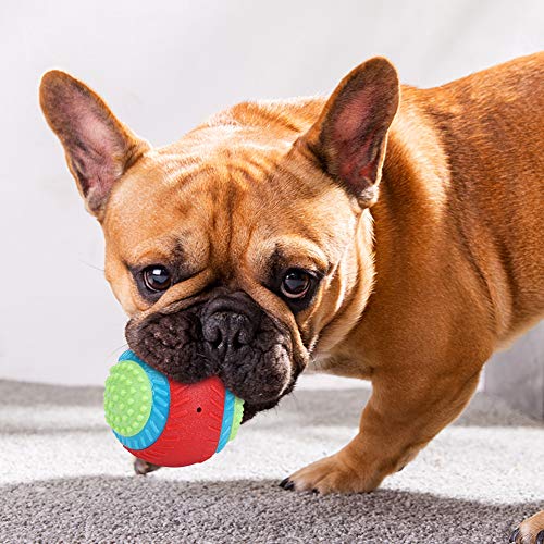 Tbest Wiggly Hummerhundspielzeug, Kauspielzeugkaute Hunde Gummi -Elastizität Ball Kauen Zähne Schleifen Sicheres Training Interaktives Spielzeug Tbest Wiggly Hummerhundspielzeug, Kauspielzeugkaute Hunde Gummi -Elastizität Ball Kauen Zähne Schleifen Sicheres Training Interaktives Spielzeug von Tbest