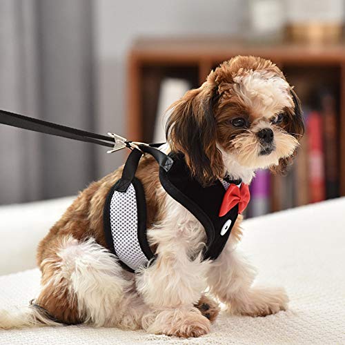 Weste Gurte, Weste Gurte Haustier Polyester Abendkleiderbrustgurte mit Traktionsseil für Hundekatze (L) von Tbest