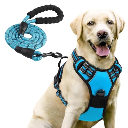 Hundegeschirr Mittelgroße Hunde,Hundegeschirr mit Leine,Hundegeschirr ohne Zug Einstellbar Anti Zug Sicherheitsgeschirr Hunde Geschirrset Mittlere Hunde Brustgeschirr Hund Atmungsaktiv Dog Harness Hundegeschirr Mittelgroße Hunde,Hundegeschirr mit Leine,Hundegeschirr ohne Zug Einstellbar Anti Zug Sicherheitsgeschirr Hunde Geschirrset Mittlere Hunde Brustgeschirr Hund Atmungsaktiv Dog Harness von Tchsrim