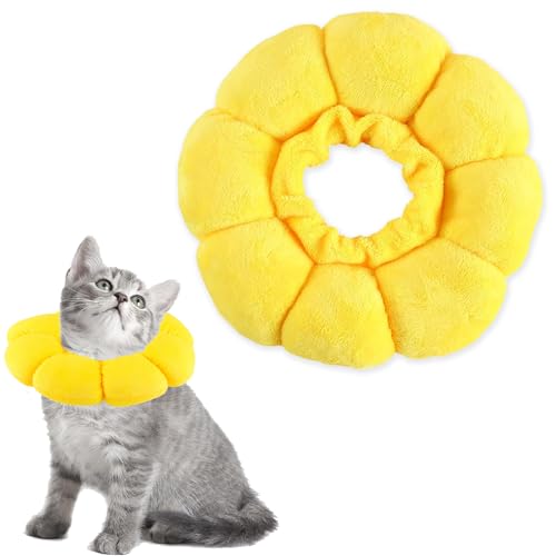 Halskrause Katze,Halskrausen füR Hunde,Einstellbarer und Weich,Katzen Halskrause,Wiederherstellung Halsband Kragen Cone für Katzen Kleiner Hunde Nach Operation und Verletzungen Halskrause Katze,Halskrausen füR Hunde,Einstellbarer und Weich,Katzen Halskrause,Wiederherstellung Halsband Kragen Cone für Katzen Kleiner Hunde Nach Operation und Verletzungen von Tcnzdy