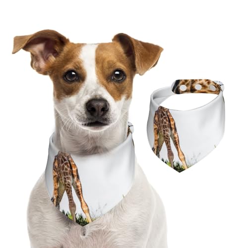 3D, Giraffe, südafrika, Haustier-Lätzchen, Schal, Katzen, Hunde, Bandana, Hunde, Handtuch, Lätzchen, verstellbar, Haustier-Schal,L 3D, Giraffe, südafrika, Haustier-Lätzchen, Schal, Katzen, Hunde, Bandana, Hunde, Handtuch, Lätzchen, verstellbar, Haustier-Schal,L von Tcoay