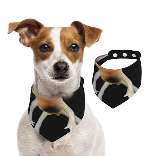 Axolotl-Druck, Haustier-Lätzchen, Schal, Katzen, Hunde, Bandana, Hunde, Handtuch, Lätzchen, verstellbar, Haustier-Schal,S von Tcoay