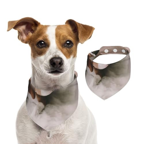 Beagle-Bett, Haustier-Lätzchen, Schal, Katzen, Hunde, Bandana, Hunde, Handtuch, Lätzchen, verstellbar, Haustier-Schal,L Beagle-Bett, Haustier-Lätzchen, Schal, Katzen, Hunde, Bandana, Hunde, Handtuch, Lätzchen, verstellbar, Haustier-Schal,L von Tcoay