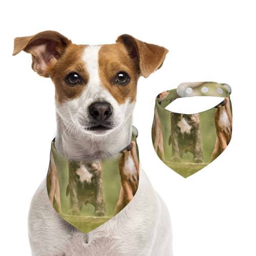 Boxer Hunde Welpen Haustiere Familienhunde, Haustier-Lätzchen, Schal, Katzen, Hunde, Bandana, Hunde, Handtuch, Lätzchen, verstellbar, Haustier-Schal,L von Tcoay