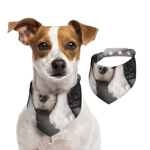 Cavalier King Charles Spaniel Hund, Haustier-Lätzchen, Schal, Katzen, Hunde, Bandana, Hunde, Handtuch, Lätzchen, verstellbar, Haustier-Schal,L von Tcoay