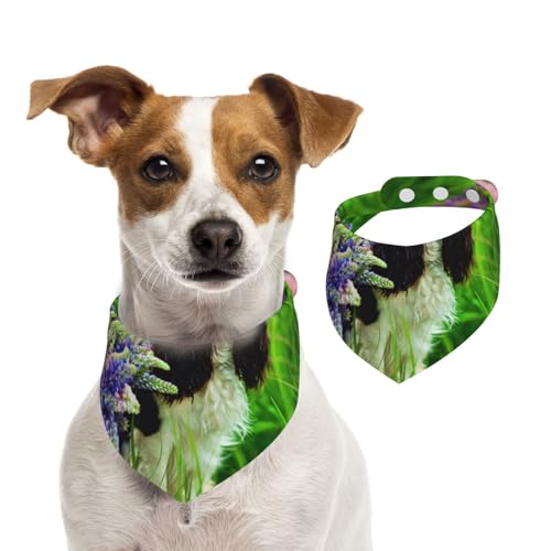 Cavalier King Charles Spaniel Hund Lupinenblüten, Haustier-Lätzchen, Schal, Katzen, Hunde, Bandana, Hunde, Handtuch, Lätzchen, verstellbar, Haustier-Schal,M von Tcoay