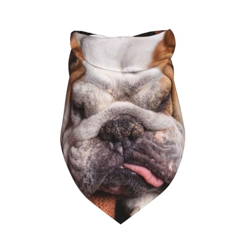 Englische Bulldoggen Maulkorb Haustiere Schlafende Hunde,Latzschal, Dreieckskapuze, Verstellbarer Haustierschal, waschbare Kapuze, geeignet für kleine, mittelgroße und große Hunde und Katzen Englische Bulldoggen Maulkorb Haustiere Schlafende Hunde,Latzschal, Dreieckskapuze, Verstellbarer Haustierschal, waschbare Kapuze, geeignet für kleine, mittelgroße und große Hunde und Katzen von Tcoay