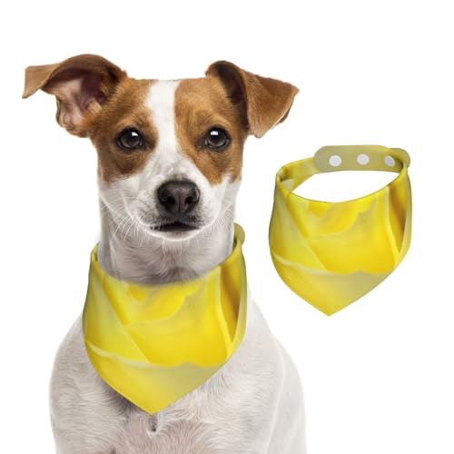 Gelbe Rose zum Valentinstag, Haustier-Lätzchen, Schal, Katzen, Hunde, Bandana, Hunde, Handtuch, Lätzchen, verstellbar, Haustier-Schal,S Gelbe Rose zum Valentinstag, Haustier-Lätzchen, Schal, Katzen, Hunde, Bandana, Hunde, Handtuch, Lätzchen, verstellbar, Haustier-Schal,S von Tcoay