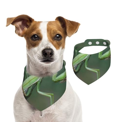 Grüne Gottesanbeterin, Haustier-Lätzchen, Schal, Katzen, Hunde, Bandana, Hunde, Handtuch, Lätzchen, verstellbar, Haustier-Schal,S von Tcoay