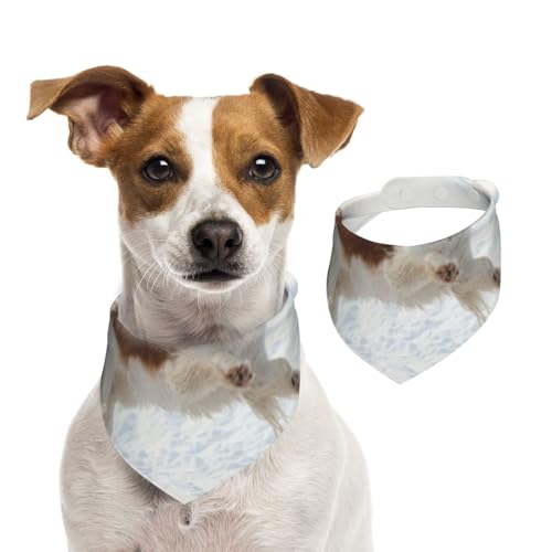 Niedlicher Hundedruck, Haustier-Lätzchen, Schal, Katzen, Hunde, Bandana, Hunde, Handtuch, Lätzchen, verstellbar, Haustier-Schal,M von Tcoay