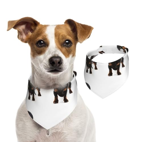 Niedliches Dackel-Hundemuster, Haustier-Lätzchen, Schal, Katzen, Hunde, Bandana, Hunde, Handtuch, Lätzchen, verstellbar, Haustier-Schal,M von Tcoay