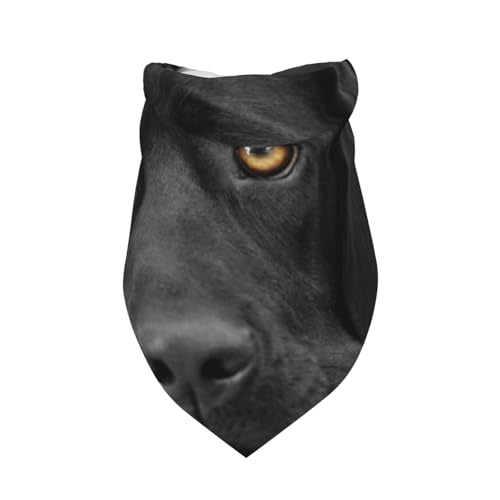 Schwarzer Labrador-Welpe, süßer Hund,Latzschal, Dreieckskapuze, Verstellbarer Haustierschal, waschbare Kapuze, geeignet für kleine, mittelgroße und große Hunde und Katzen von Tcoay
