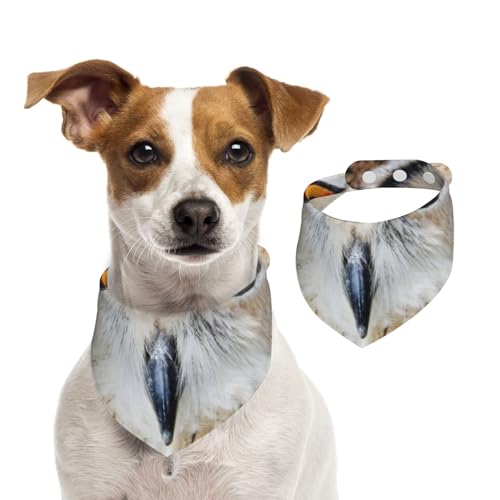Vogel Raubtier Eule, Haustier-Lätzchen, Schal, Katzen, Hunde, Bandana, Hunde, Handtuch, Lätzchen, verstellbar, Haustier-Schal,L von Tcoay