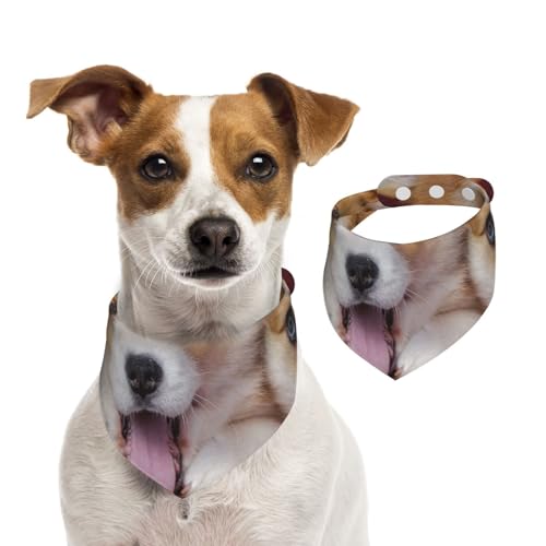 Walisischer Corgi-Hund, Haustier-Lätzchen, Schal, Katzen, Hunde, Bandana, Hunde, Handtuch, Lätzchen, verstellbar, Haustier-Schal,M Walisischer Corgi-Hund, Haustier-Lätzchen, Schal, Katzen, Hunde, Bandana, Hunde, Handtuch, Lätzchen, verstellbar, Haustier-Schal,M von Tcoay