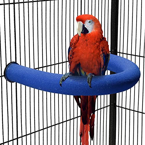 TeTupGa U-Form Papageienstange, Ständer, Haustierspielzeug, Vogelplattform, Sandpfote, Schleifen, sauberer Stab, Käfig, Übung, Wellensittiche, Nymphensittiche, Zubehör (blau, groß) von TeTupGa