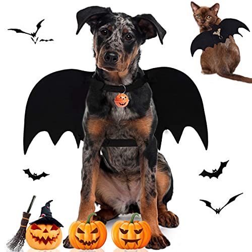 Halloween-Kostüm für Hunde, Fledermausflügel, Kostüme, Haustier, lustiges Cosplay, Kleidung, Fledermausflügel mit Hundeleine und Kürbisglocken für kleine, mittelgroße Hunde und Katzen von Tealots