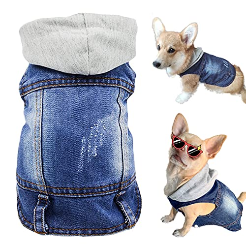 Hunde-Jeansjacke für Hunde, cooler blauer Denim-Hoodie, für Welpen, Kleidung, Hemd, Kostüm, Vintage-Stil, Reversweste, klassisches T-Shirt für kleine und mittelgroße Hunde und Katzen (blau, XL) von Tealots
