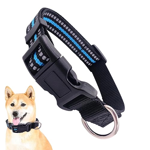 Nylon Hundehalsband - Kleines Hundehalsband Nylon Schnalle Dog Tag Halsband | Verstellbarer Hundekomfort Kleine Erkennungsmarke Nylon Schnalle Für Kleine Mittlere Verschiedene Hunde Tebinzi Nylon Hundehalsband - Kleines Hundehalsband Nylon Schnalle Dog Tag Halsband | Verstellbarer Hundekomfort Kleine Erkennungsmarke Nylon Schnalle Für Kleine Mittlere Verschiedene Hunde Tebinzi von Tebinzi