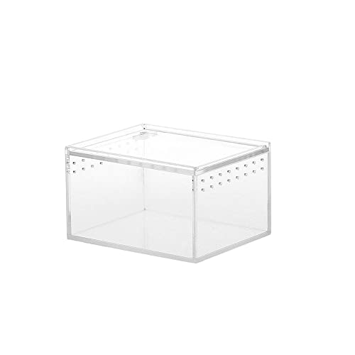 Reptilien-Aquarium – Reptilien-Zuchtkasten, Terrariumkäfig, Schlangenzuchtbehälter, transparent, tragbar, Brutkasten, Mini-Haustierhaus für Spinnen, Skorpione, betende Mantises Tebinzi von Tebinzi