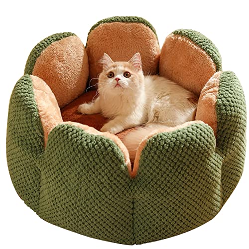 Tebinzi Katzen- und Hunde-Kuschelbett – Welpen-Kätzchenbett, rundes Blütenblatt, weiches Plüsch-Flanell, Haustierkissen, Betten waschbar – abnehmbares Haustierbett, Kissen, Katzenbett, kleine Tebinzi Katzen- und Hunde-Kuschelbett – Welpen-Kätzchenbett, rundes Blütenblatt, weiches Plüsch-Flanell, Haustierkissen, Betten waschbar – abnehmbares Haustierbett, Kissen, Katzenbett, kleine von Tebinzi