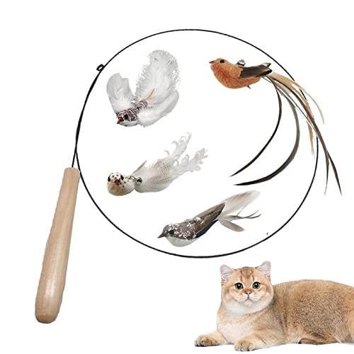 Tebinzi Katzenfederspielzeug | Katzenfederstab – Katzenspielzeug Katzenspielzeug Katzenspielzeug Hängende Tür Selbstspiel Katzenspielzeug für Katzen Kätzchen Übung Tebinzi Katzenfederspielzeug | Katzenfederstab – Katzenspielzeug Katzenspielzeug Katzenspielzeug Hängende Tür Selbstspiel Katzenspielzeug für Katzen Kätzchen Übung von Tebinzi