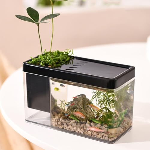Kleines Aquarium, Schreibtisch Aquarium Mit Stifthalter, Transparentes Kleines Betta-Fischbecken, Komplettset Für Schildkröten, Reptilien, Garnelen, Moos Kleines Aquarium, Schreibtisch Aquarium Mit Stifthalter, Transparentes Kleines Betta-Fischbecken, Komplettset Für Schildkröten, Reptilien, Garnelen, Moos von Techigher