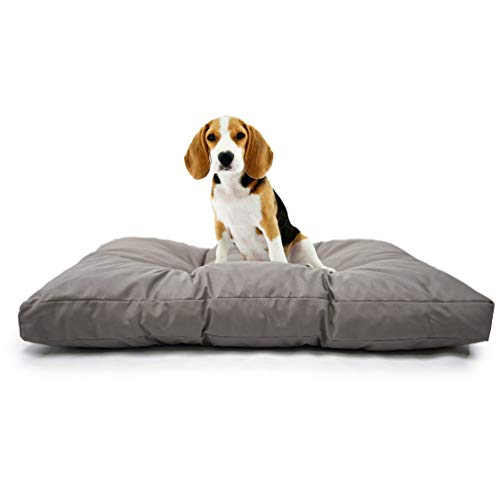 TECNOCUCI Hundekissen für mittelgroße Hunde, 100 % Made in Italy – Hundebett innen – leicht waschbar TECNOCUCI Hundekissen für mittelgroße Hunde, 100 % Made in Italy – Hundebett innen – leicht waschbar von TECNOCUCI