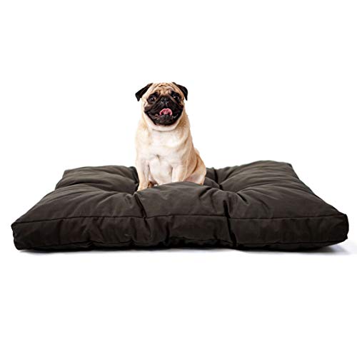 Tecnocuci Hundekissen, mittelgroß, 100% Made in Italy – Hundebett für den Innenbereich – leicht waschbar von TECNOCUCI